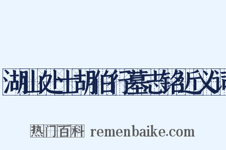 湖山处士胡伯行墓志铭近义词是什么意思的图片